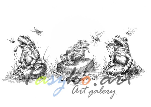 Projekt Frog Ok.jpg